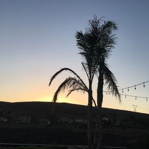 Meet your Posher, Raerae